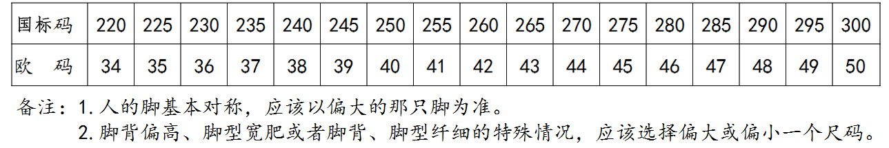防靜電魔術(shù)貼網(wǎng)眼鞋尺碼